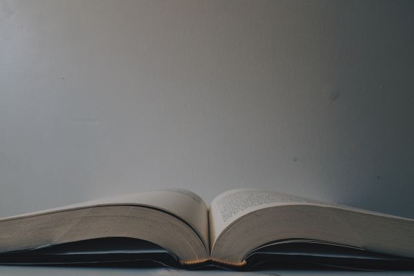 FRIDAY  -  Isaiah 40:28-31